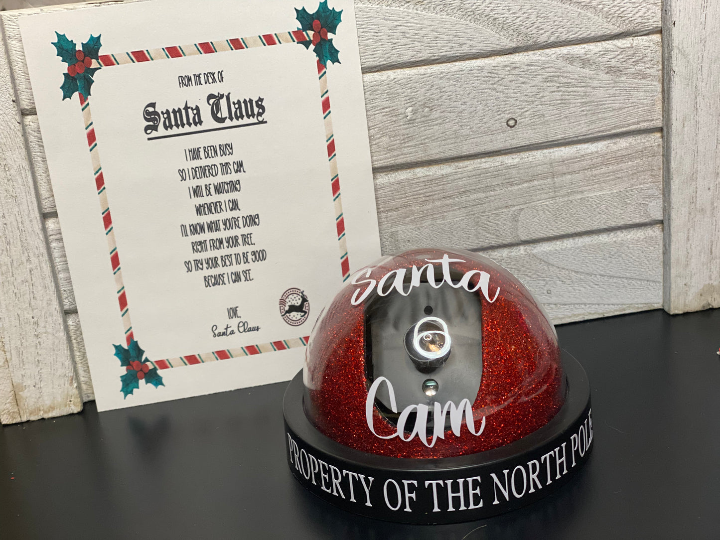 Santa Cam