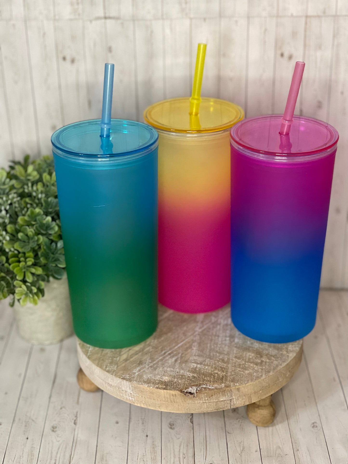 Ombre Acrylic Tumbler (Seen on LIVE)